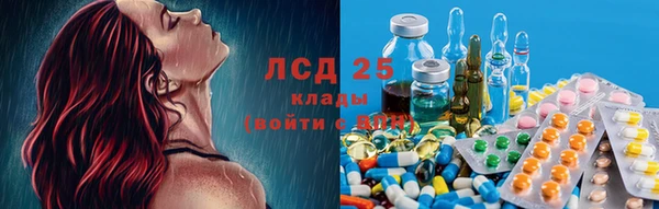 СК Алзамай