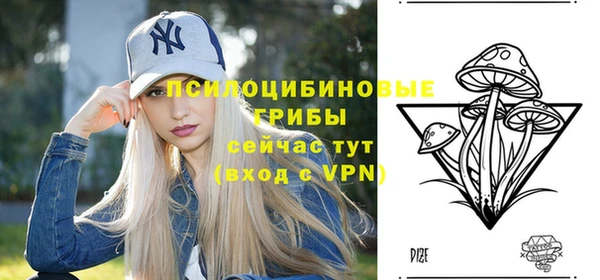 спайс Алексеевка