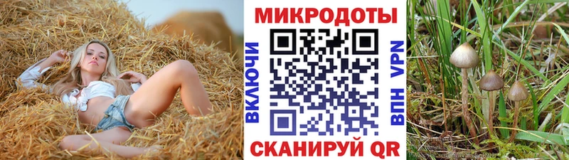 Галлюциногенные грибы GOLDEN TEACHER  Мураши 