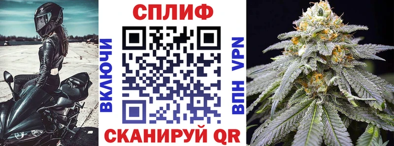 где можно купить Мураши Марихуана сатива